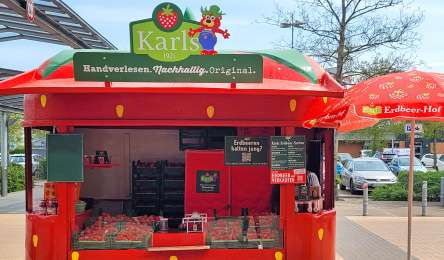 Strawberry Season