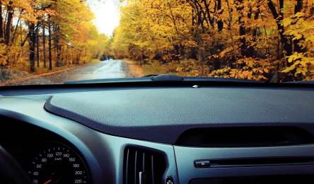 Autoherbst