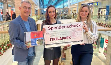 Spende für den VSP e.V.