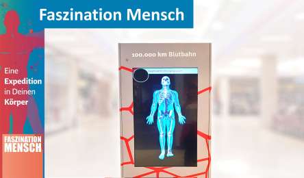 Faszination Mensch