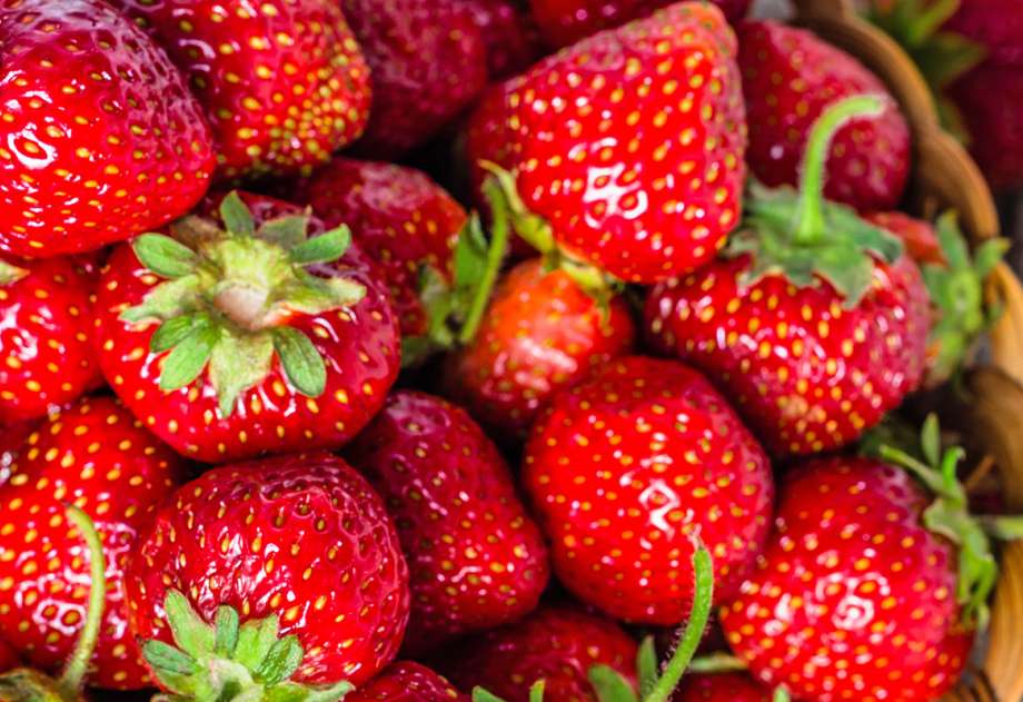 Strawberry Season