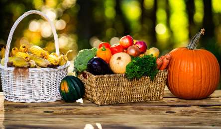 Herbst- und Bauernmarkt